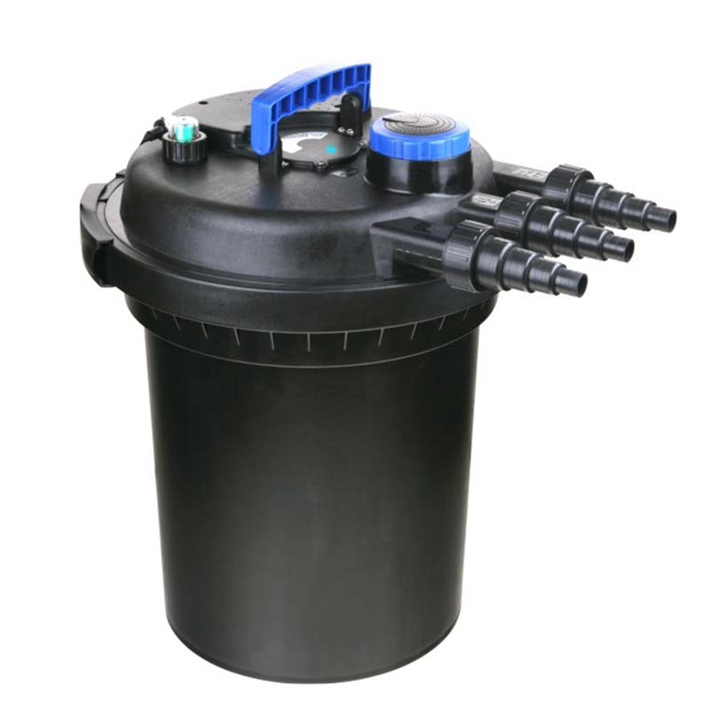 Wie verbessert ein Teichfilter die Wasserqualität und schafft ein gesundes aquatisches Ökosystem?